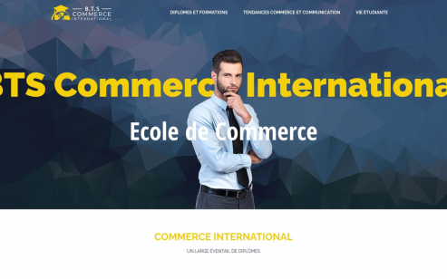 https://www.btscommerceinternational.fr